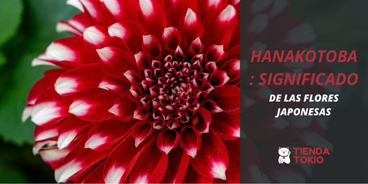 Hanakotoba: significado de las Flores Japonesas