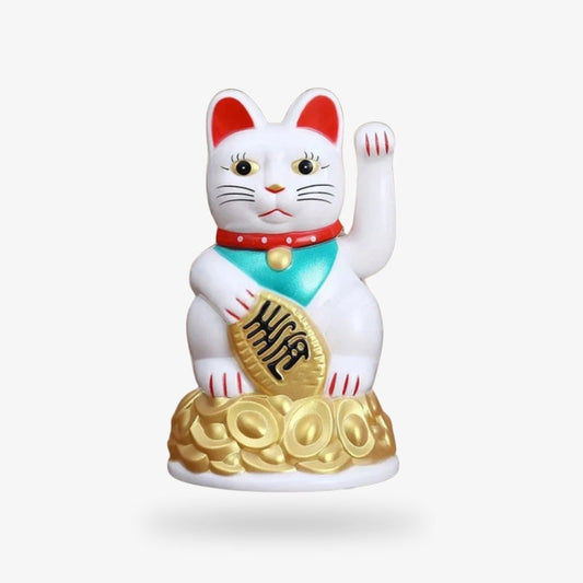 Pequeño Gato Blanco
